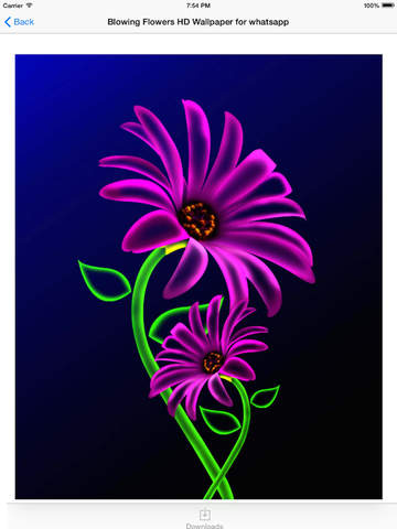 https://static.download-vn.com/blowing-flowers-hd-wallpaper-18.jpeg