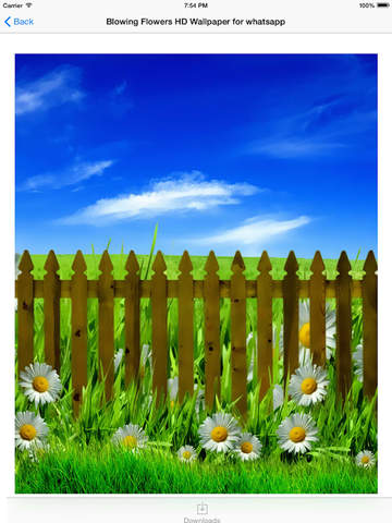 https://static.download-vn.com/blowing-flowers-hd-wallpaper-19.jpeg