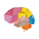 Brain Wars: Competitive brain training game