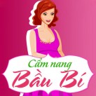 Download Cẩm Nang Bầu Bí