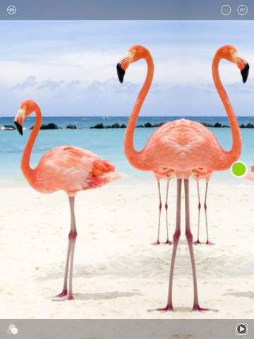 https://static.download-vn.com/camcool-hd-fun-photo-fx2.jpeg