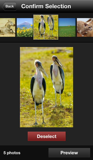 https://static.download-vn.com/canon-mobile-printing1.jpeg