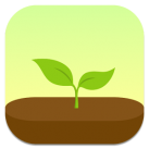 Download Forest: Stay focused