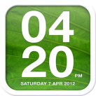 Download Chameleon Clock