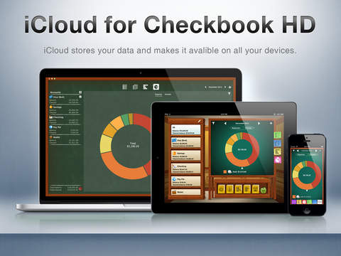 https://static.download-vn.com/checkbook-hd-free-personal8.jpeg