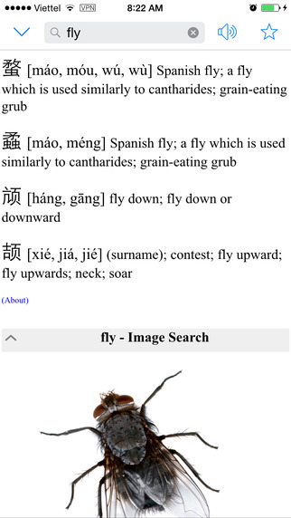 https://static.download-vn.com/chinese-english-dictionary-11.jpeg