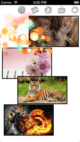 https://static.download-vn.com/collage-fx3.jpeg