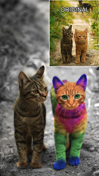 https://static.download-vn.com/color-effects-pro-splash-sketch2.jpeg