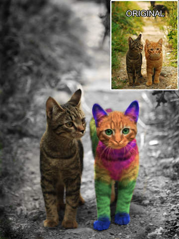 https://static.download-vn.com/color-effects-pro-splash-sketch6.jpeg