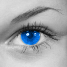 Color Shine – image splash effects
