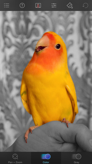 https://static.download-vn.com/color-splash3.jpeg