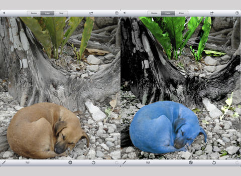 https://static.download-vn.com/color-studio-pro-for-ipad-13.jpeg