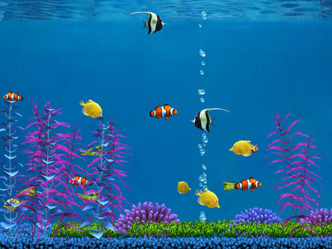 https://static.download-vn.com/colorful-aquarium-for-ipad-11.jpeg
