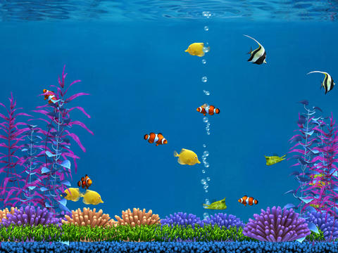https://static.download-vn.com/colorful-aquarium-for-ipad-12.jpeg