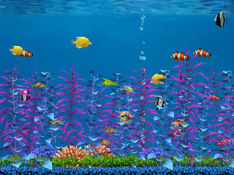 https://static.download-vn.com/colorful-aquarium-for-ipad-13.jpeg