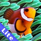 Download Colorful Aquarium for iPad Lite