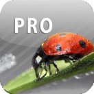ColorUp Pro – Color Paint Editor