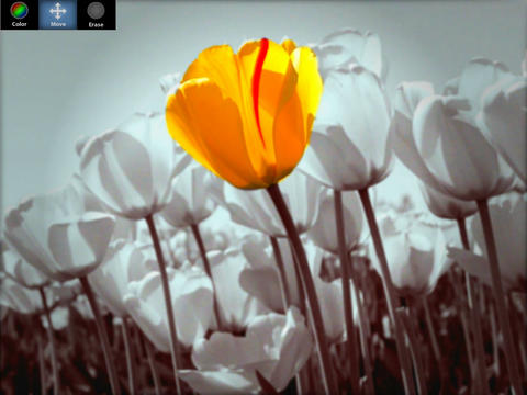 https://static.download-vn.com/colorup-pro-color-paint-editor-17.jpeg