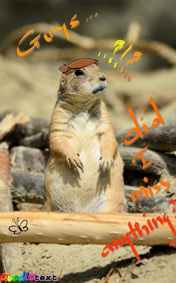 https://static.download-vn.com/com.DoodleText4.jpg