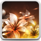 Download Hoa Phát Sáng Hình Nền Động
