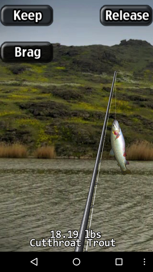 https://static.download-vn.com/com.RockingPocketGames.iFishingFlyLite5.png