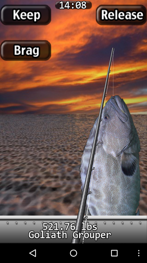 https://static.download-vn.com/com.RockingPocketGames.iFishingSaltwaterLite3.png