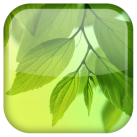 Download Lá hình nền động