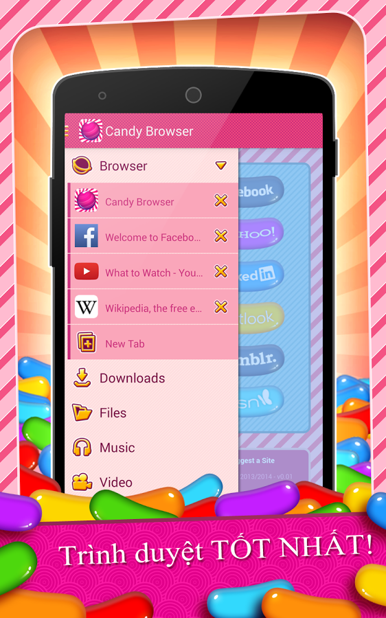 https://static.download-vn.com/com.candy_.browser13.png
