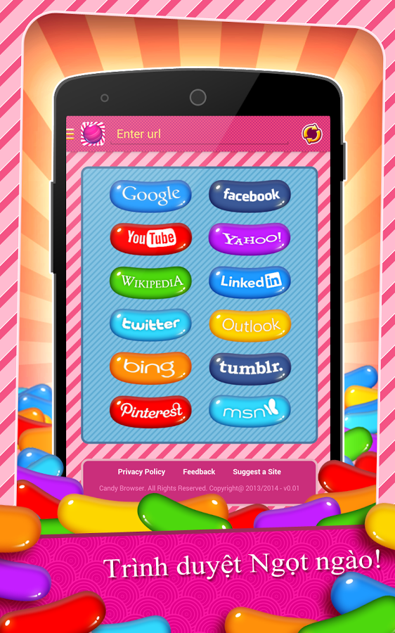 https://static.download-vn.com/com.candy_.browser14.png