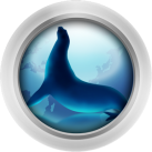 Ocean Browser
