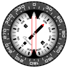 Download Compass PRO