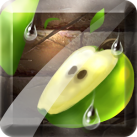 Download Fruit Slice