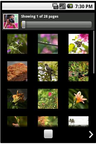 https://static.download-vn.com/com.flanadroid.in_.photostream2.jpg