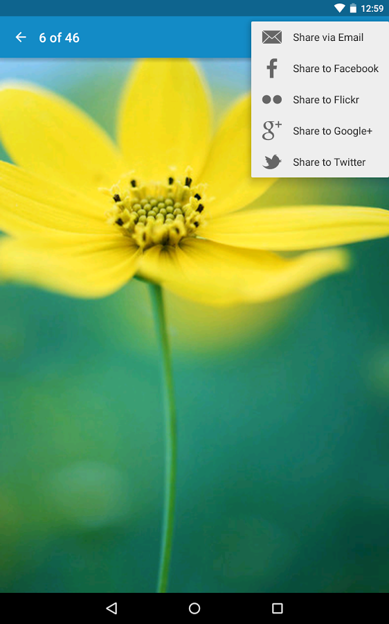 https://static.download-vn.com/com.funambol.androidsync12.png
