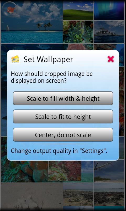https://static.download-vn.com/com.littlefatfish.photo_4.jpg