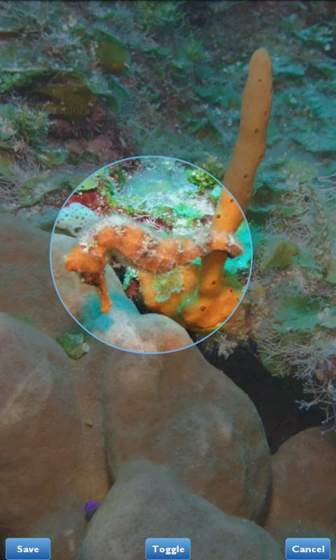 https://static.download-vn.com/com.littlefatfish.photo_6.jpg