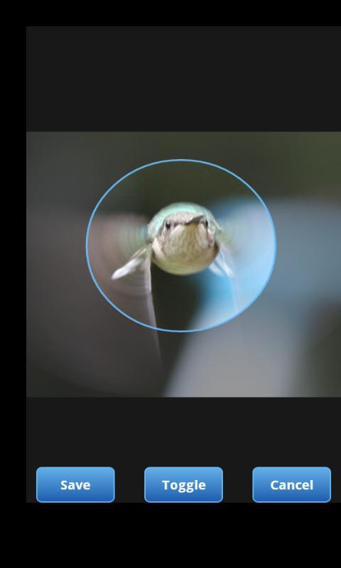 https://static.download-vn.com/com.littlefatfish.photodonut6.jpg