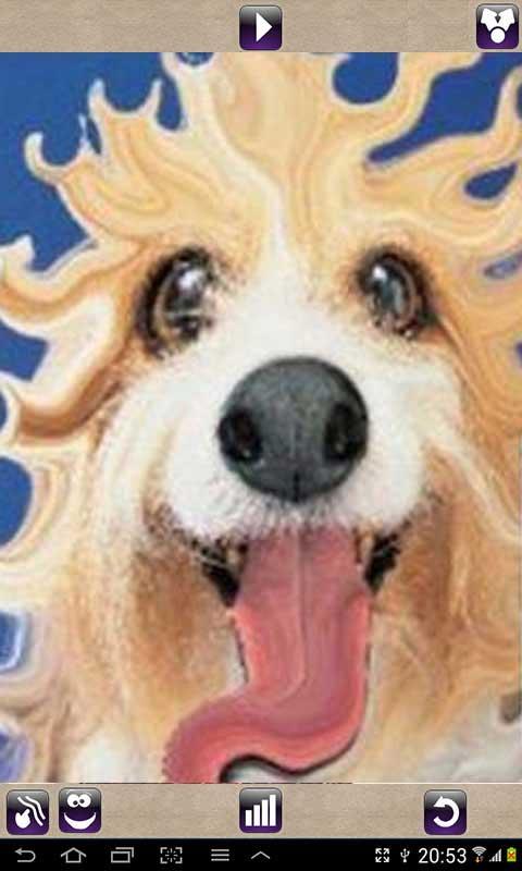 https://static.download-vn.com/com.mixaimaging.deformerfree1.jpg