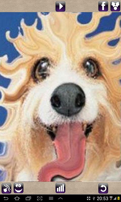 https://static.download-vn.com/com.mixaimaging.deformerplus4.jpg