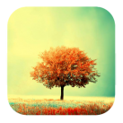 Download Awesome Land Live Wallpaper