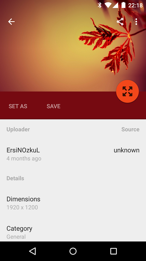https://static.download-vn.com/com.musenkishi.wally_19.png