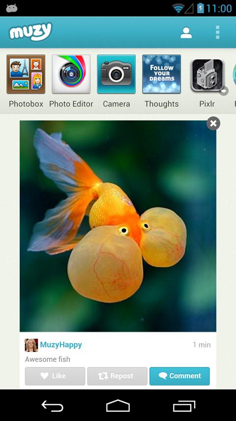 https://static.download-vn.com/com.muzy_.jpg