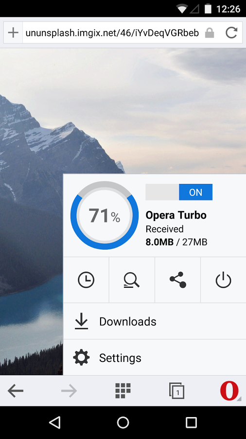 https://static.download-vn.com/com.opera_.browser.beta_3.png
