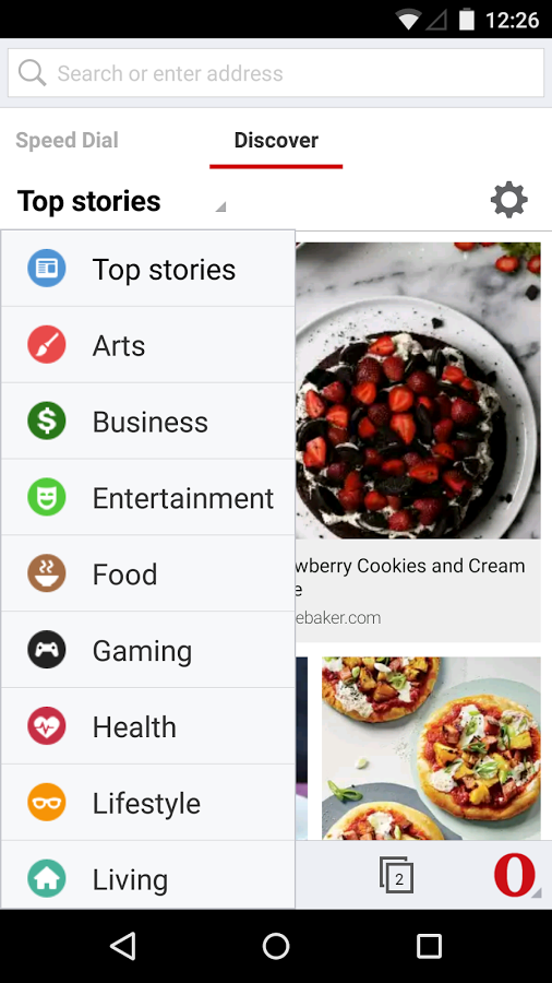 https://static.download-vn.com/com.opera_.browser.beta_6.png