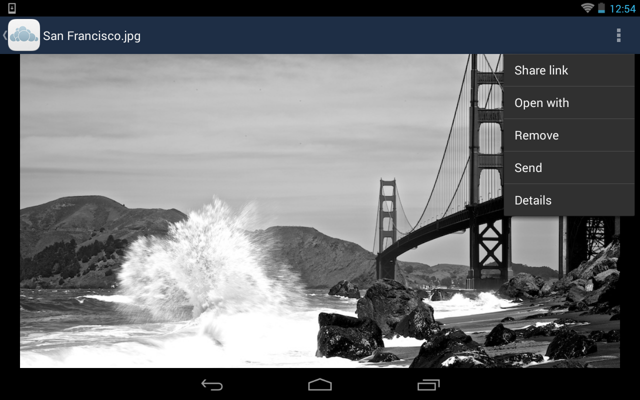 https://static.download-vn.com/com.owncloud.android5.png