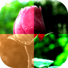 Download Biên tập ảnh