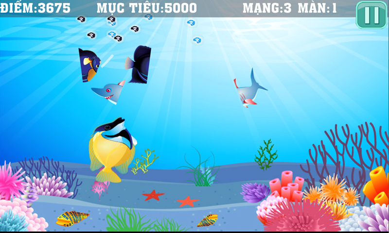 https://static.download-vn.com/com.thuanviet.chemca5.png