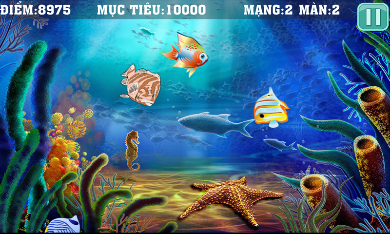 https://static.download-vn.com/com.thuanviet.chemca9.png