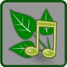 Download Nature Sounds Relax and Sleep