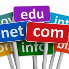 Những con số thú vị và hài hước về tên miền web